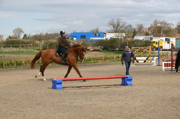 Young Horse Training with Andrew Saywell